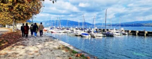 Balade au lac du Bourget gite Étoile du Lac