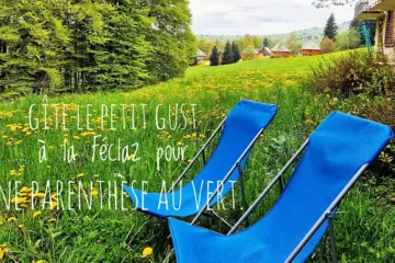 Gîte le Petit Gust terrasse vue forêt