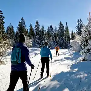 Skis de fond à la Féclaz Skis de fond à la Féclaz gîte le Petit Gust